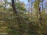  Bench Rd.  34.97 Acres - Photo 11