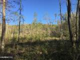  Bench Rd.  34.97 Acres - Photo 13