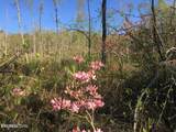  Bench Rd.  34.97 Acres - Photo 14