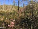  Bench Rd.  34.97 Acres - Photo 15