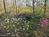  Bench Rd.  34.97 Acres - Photo 16