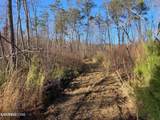  Bench Rd.  34.97 Acres - Photo 18