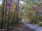  Bench Rd.  34.97 Acres - Photo 7