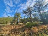 Lot 11 Lum Way - Photo 11