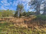 Lot 11 Lum Way - Photo 9