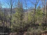 1306 Morning Dove Way Way - Photo 4
