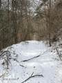 080 013.00 Buffalo Rd - Photo 3