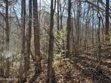  Gibson Hollow.  2.33 Acres Rd - Photo 8