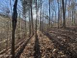  Gibson Hollow.  2.33 Acres Rd - Photo 9