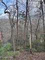 Goose Creek Lot #1 Rd - Photo 10