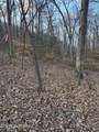  Goose Creek Lot #1 Rd - Photo 3