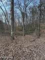  Goose Creek Lot #1 Rd - Photo 5