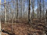 Lot 37 Crystal Point - Photo 3
