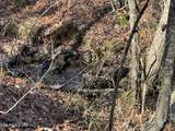 Lot 37 Crystal Point - Photo 4