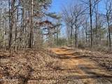 197 Terrapin Drive - Photo 13