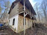 197 Terrapin Drive - Photo 35