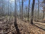 197 Terrapin Drive - Photo 45