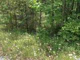 Lot 34 Hedge Maple Way - Photo 3