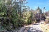 Lot 34 Hedge Maple Way - Photo 6