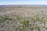 328ac Peavine Firetower Rd - Photo 10