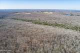 328ac Peavine Firetower Rd - Photo 12