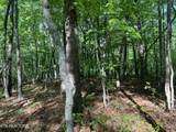 328ac Peavine Firetower Rd - Photo 4