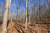  Lot 106 Hiwassee View Drive - Photo 8