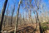  Lot 106 Hiwassee View Drive - Photo 9