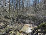 26 ac Burger Branch County Rd 464 - Photo 2