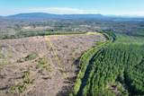 360 County Road 963 - Photo 12
