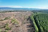 360 County Road 963 - Photo 7