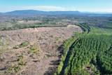 360 County Road 963 - Photo 9