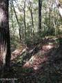 3707 Big Ridge Rd - Photo 40