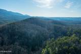 3336 Turkey Pen Branch Rd - Photo 11