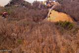  Lot 147 Saddle Ridge Drive - Photo 14