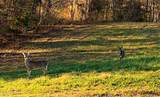  Lot 147 Saddle Ridge Drive - Photo 30
