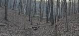 121 Pineridge Loop - Photo 14