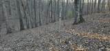 121 Pineridge Loop - Photo 19