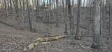 121 Pineridge Loop - Photo 20