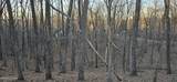121 Pineridge Loop - Photo 24