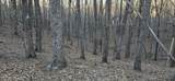 121 Pineridge Loop - Photo 26