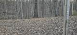 119 Pineridge Loop - Photo 21