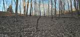 119 Pineridge Loop - Photo 8