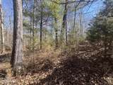 209 Appaloosa Tr - Photo 10