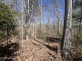 209 Appaloosa Tr - Photo 12