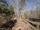 209 Appaloosa Tr - Photo 13