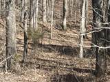 209 Appaloosa Tr - Photo 14
