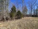 209 Appaloosa Tr - Photo 4