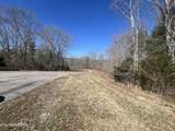 209 Appaloosa Tr - Photo 5
