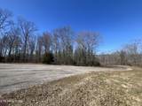 209 Appaloosa Tr - Photo 6